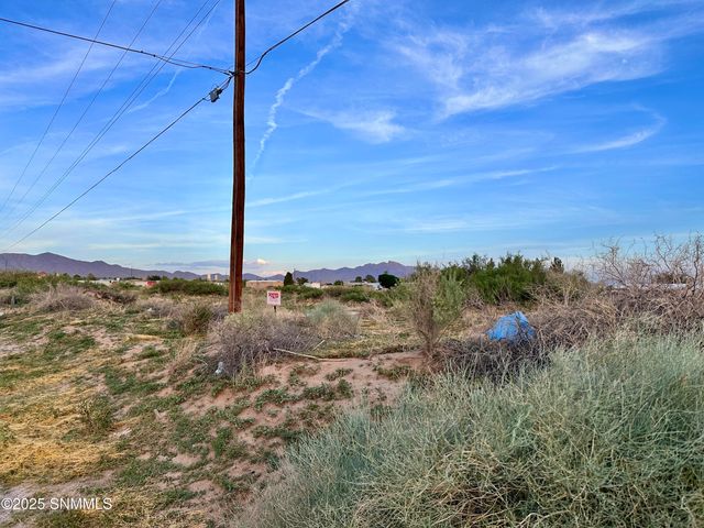 TBD SHRODE Road, Anthony, NM 88021