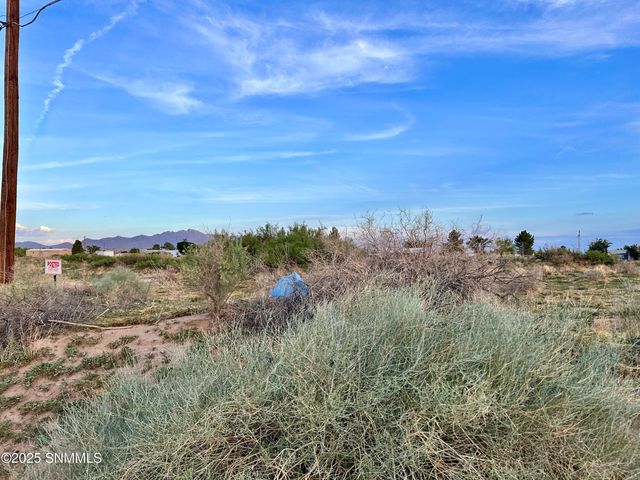 TBD SHRODE Road, Anthony, NM 88021