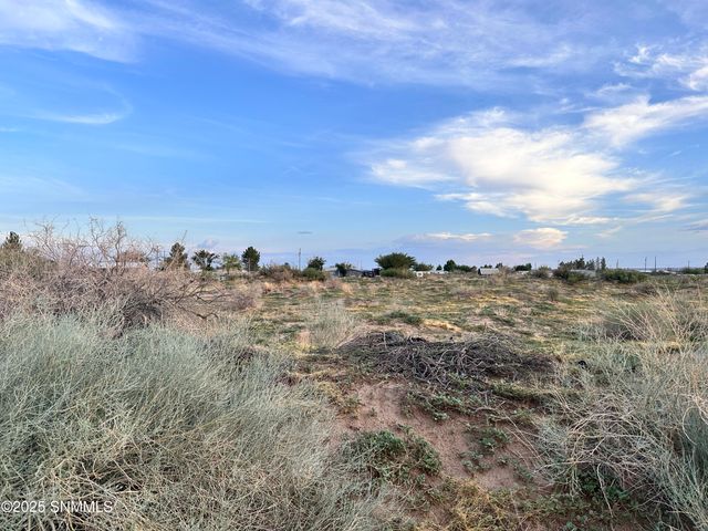TBD SHRODE Road, Anthony, NM 88021