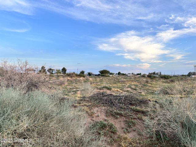 TBD SHRODE Road, Anthony, NM 88021
