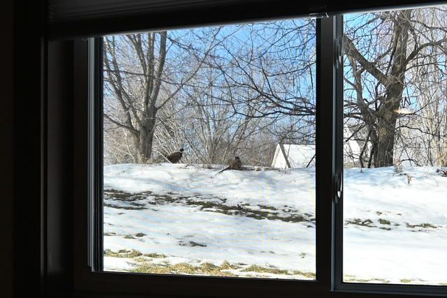 2757 COUNTY ROAD EE, Abrams, WI 54101