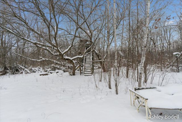 14151 Shaner Avenue Ne, Nelson Twp, MI 49319