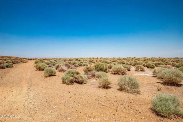 12 Joshua Ranch Lot On Yianni Court, Palmdale, CA 93551