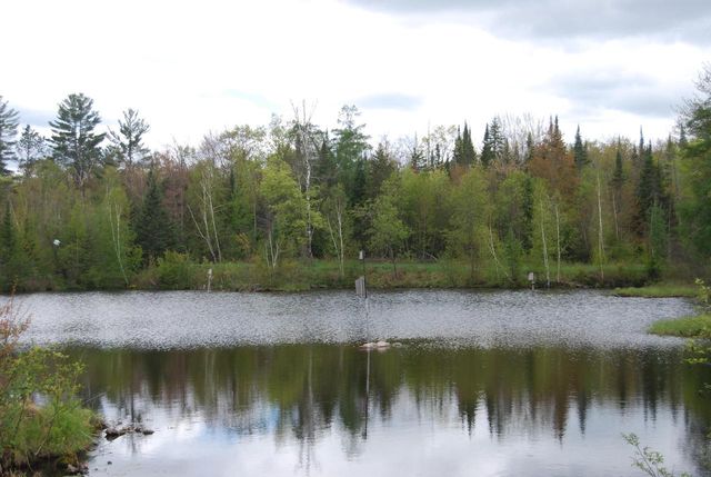 N11502 Nelson ROAD, Wausaukee, WI 54177