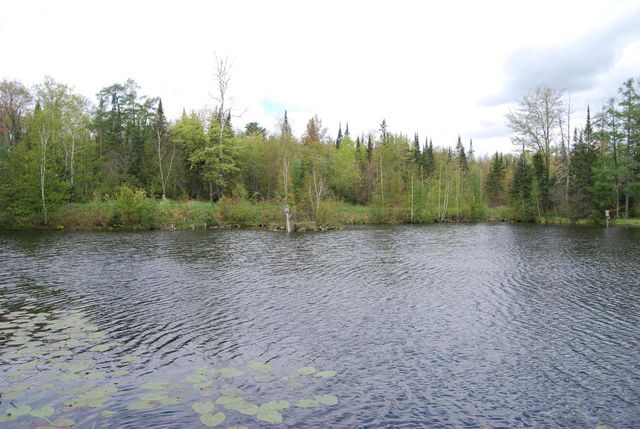 N11502 Nelson ROAD, Wausaukee, WI 54177