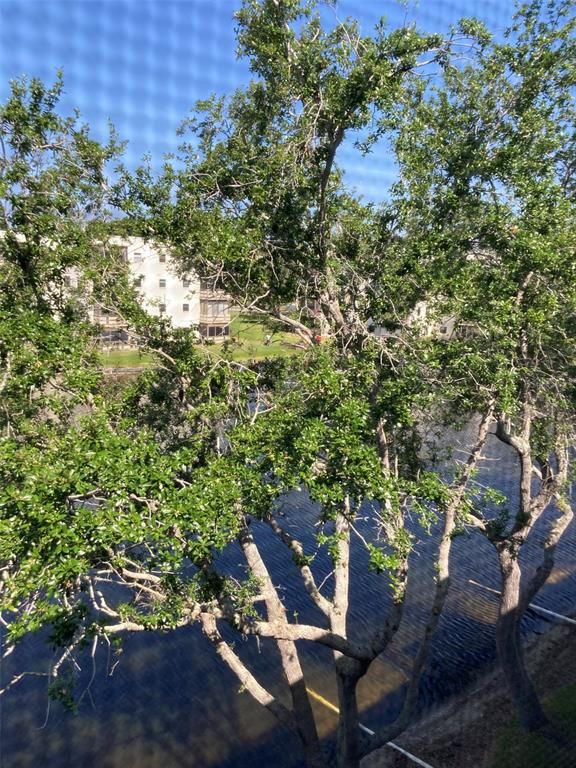 6080 80TH STREET N 409, St Petersburg, FL 33709