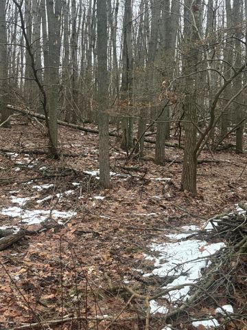 9806 Golf Port Drive N, Canadian Lakes, MI 49346