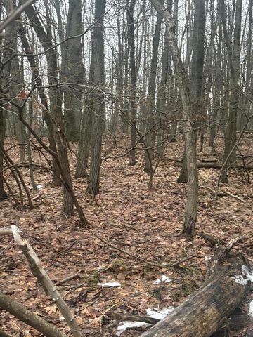 9806 Golf Port Drive N, Canadian Lakes, MI 49346