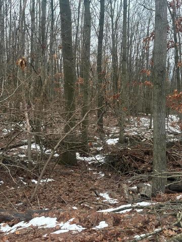 9806 Golf Port Drive N, Canadian Lakes, MI 49346