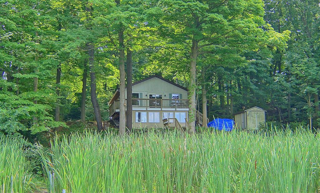 10749 Kings Lane, Berrien Springs, MI 49103