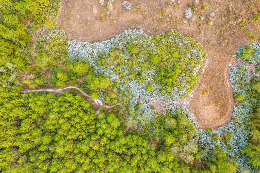 Image 68 of property listing at 1305 PEMBERTON TRAIL, Malabar, FL 32950