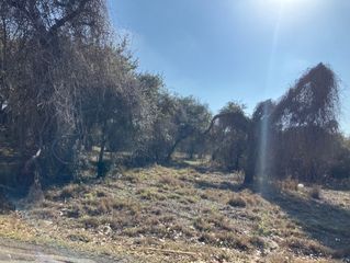 0000 Mooney Lane, Ingleside, TX 78362