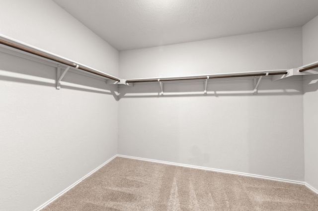 5905 Shanjia DR, Austin, TX 78724