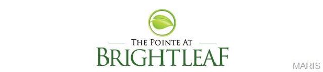 1 TBB Highland Pointe @ Brightleaf Orchard Villas, Wildwood, MO 63038