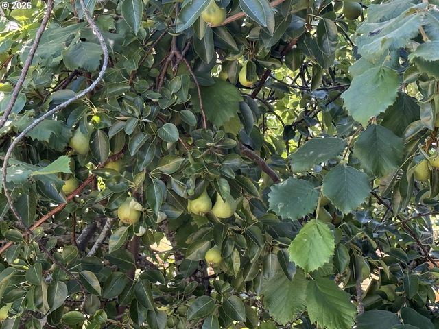 2157 38TH Ct, Washougal, WA 98671