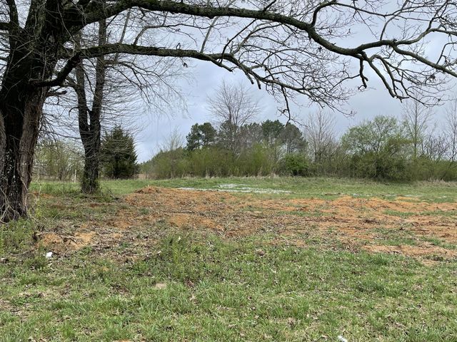 18 Eli Court, Leoma, TN 38468