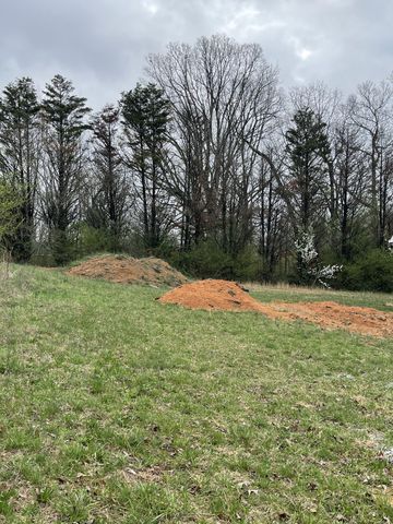 18 Eli Court, Leoma, TN 38468