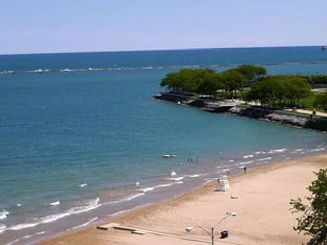 540 N Lake Shore Drive 718-719, Chicago, IL 60611