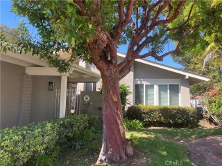 424 Onda, Newport Beach, CA 92660