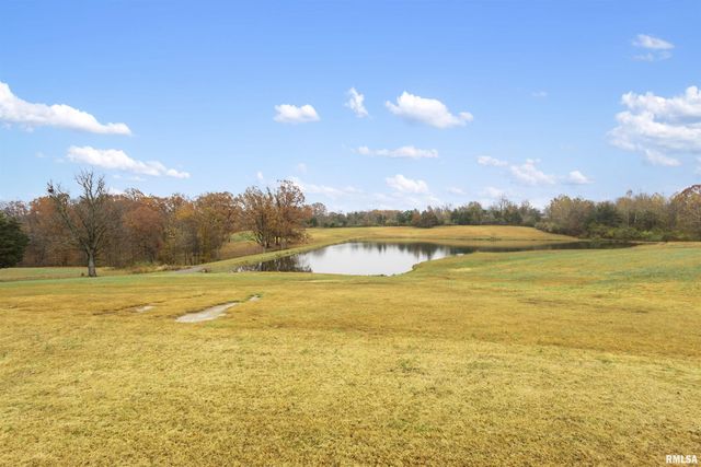 221 E Gore Street, Goreville, IL 62939