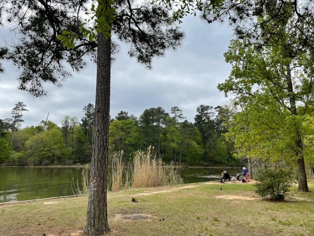 19757 Flag View Drive, Montgomery, TX 77316