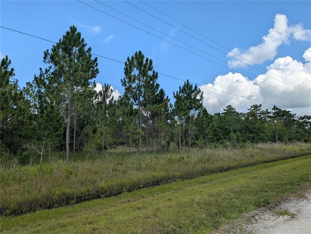 401 CAMELLIA DRIVE, Indian Lake Estates, FL 33855
