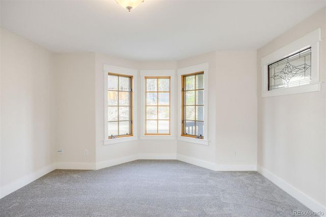 372 N Oak Street, Alma, CO 80420