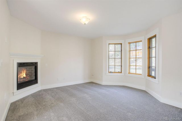 372 N Oak Street, Alma, CO 80420