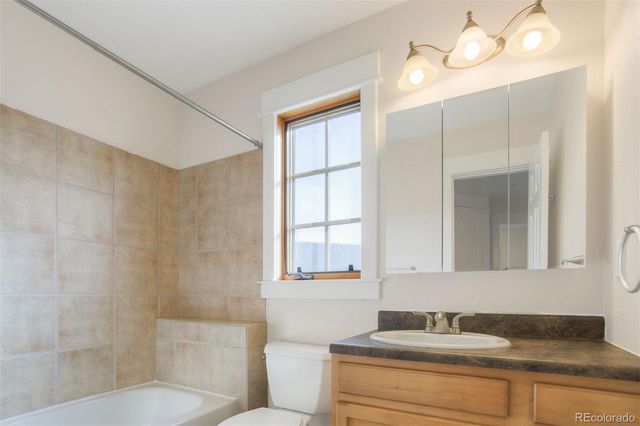 372 N Oak Street, Alma, CO 80420