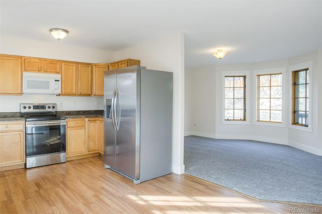 372 N Oak Street, Alma, CO 80420