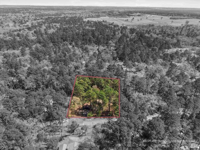 168 Hearthside Path, Holly Lake Ranch, TX 75765