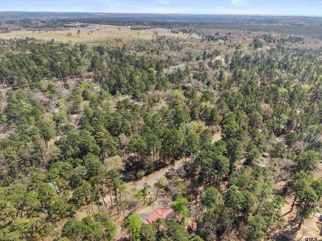 168 Hearthside Path, Holly Lake Ranch, TX 75765