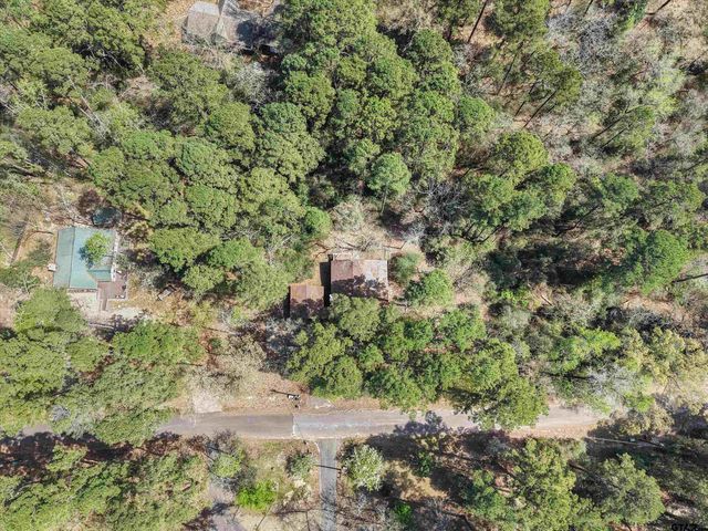 168 Hearthside Path, Holly Lake Ranch, TX 75765