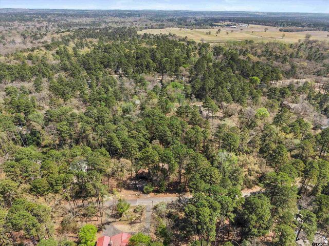168 Hearthside Path, Holly Lake Ranch, TX 75765