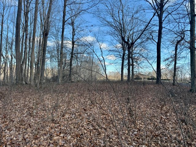 90 Paradise Alley, Russell Springs, KY 42642