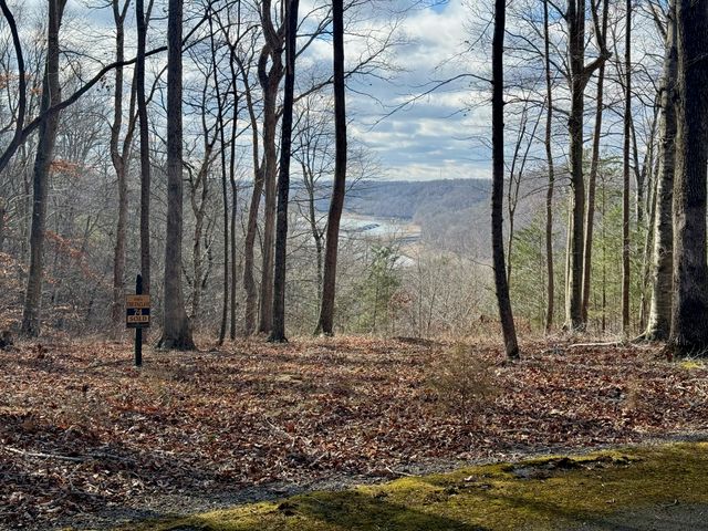 90 Paradise Alley, Russell Springs, KY 42642