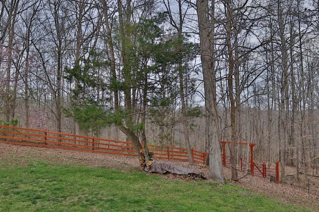 1660 Leatherwood Rd, White Bluff, TN 37187