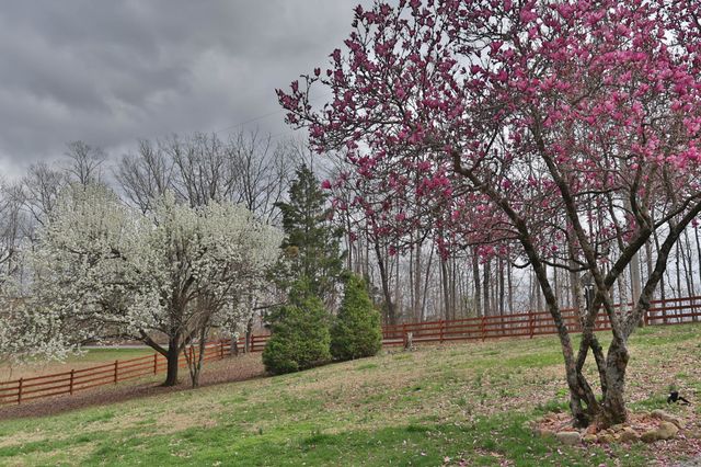 1660 Leatherwood Rd, White Bluff, TN 37187