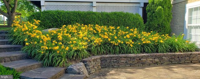 38607 MILLSTONE, Hillsboro, VA 20132