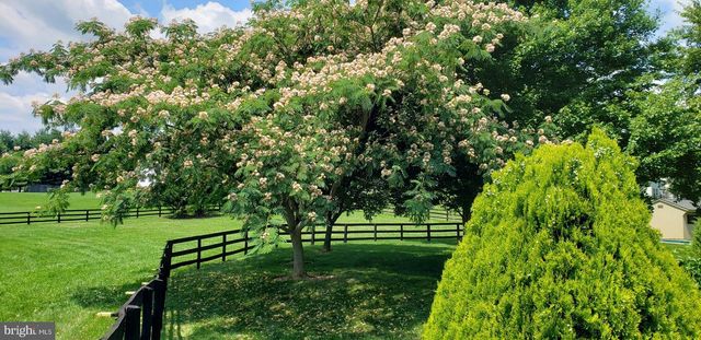 38607 MILLSTONE, Hillsboro, VA 20132