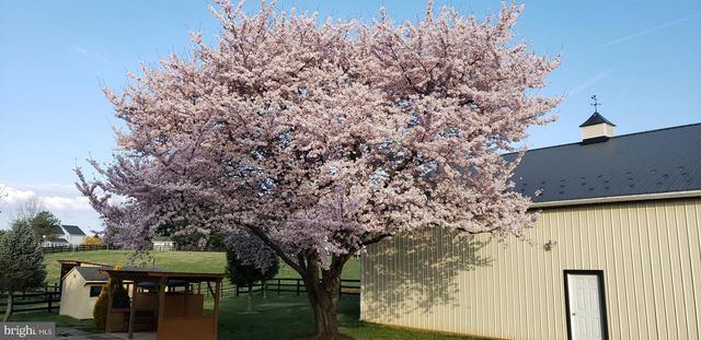 38607 MILLSTONE, Hillsboro, VA 20132