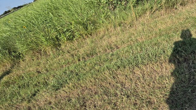 691 FARMER Road, Ennis, TX 75119
