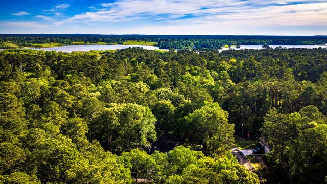 6 Lost Forest, Trinity, TX 75862