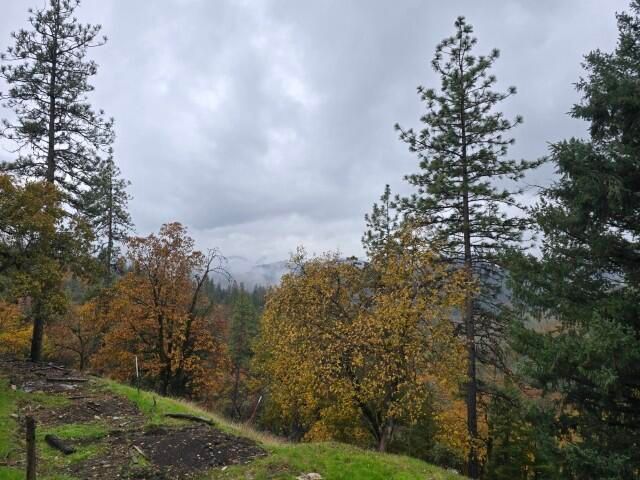 113 Top Of The Grade Road, Douglas City, CA 96024