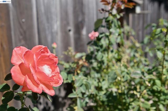 24 Velasco Ct, Danville, CA 94526