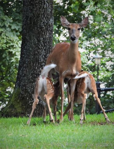 419074 E 1156, Checotah, OK 74426