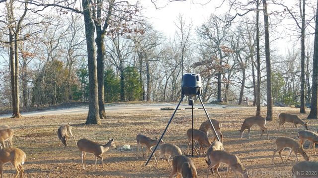 419074 E 1156, Checotah, OK 74426