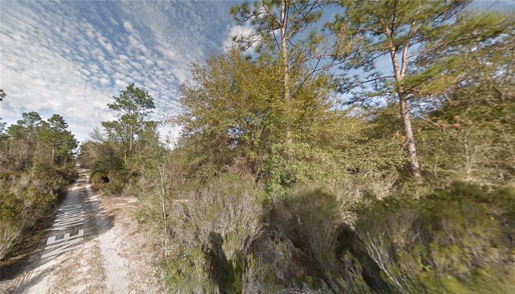 Lot 7 NE 100TH CT, Bronson, FL 32621