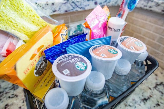 3231 CUPID PL PLACE, Kissimmee, FL 34747