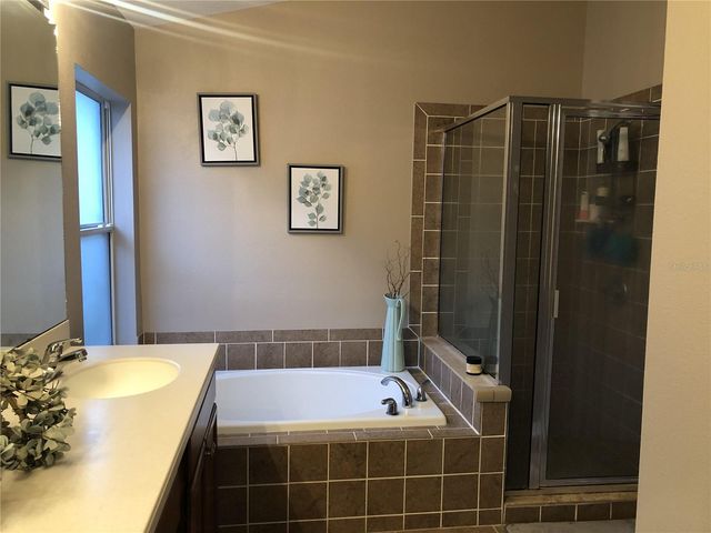 10121 COLDWATER LOOP, Land O Lakes, FL 34638